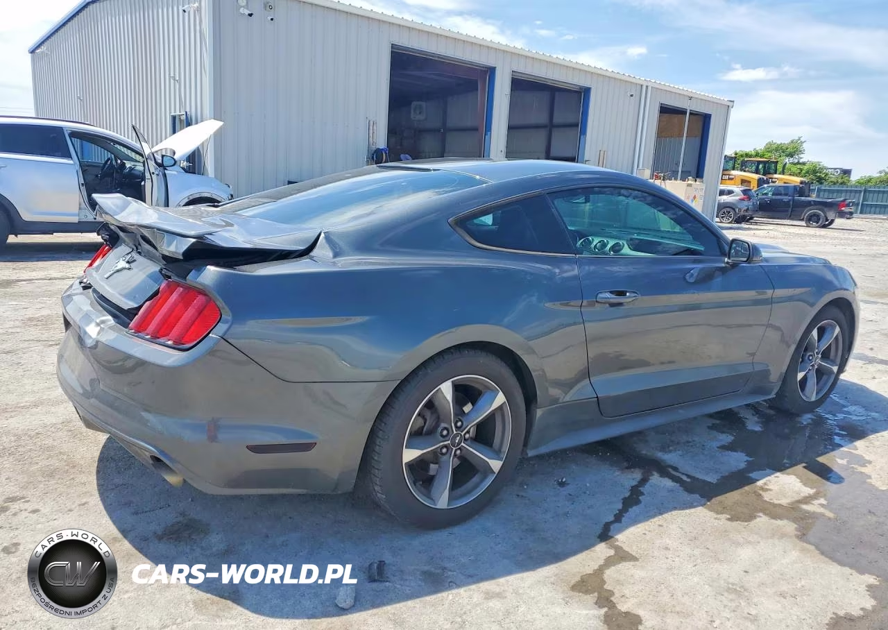 2016 Ford Mustang VIN:1FA6P8AM8G5251034 - 3