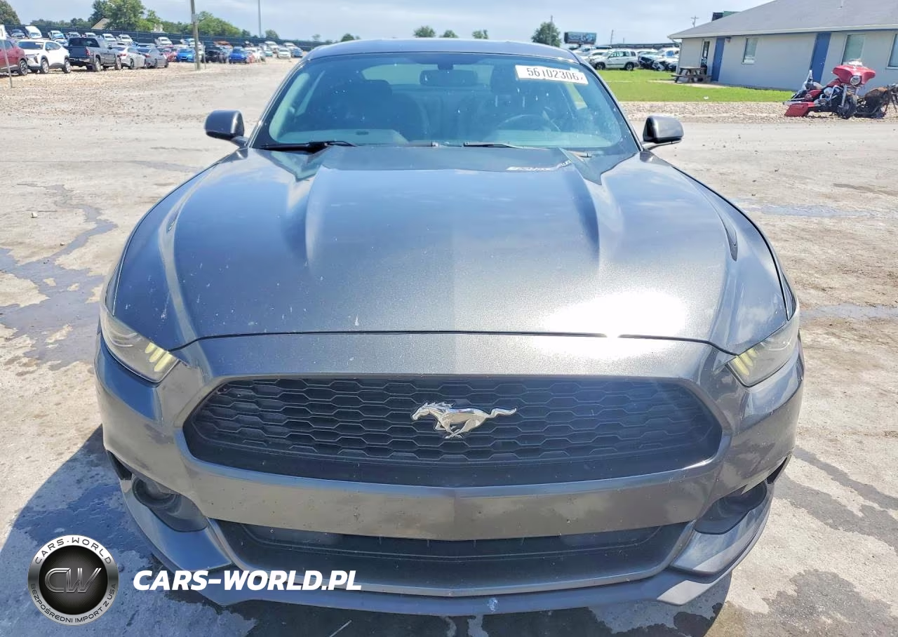 2016 Ford Mustang VIN:1FA6P8AM8G5251034 - 5