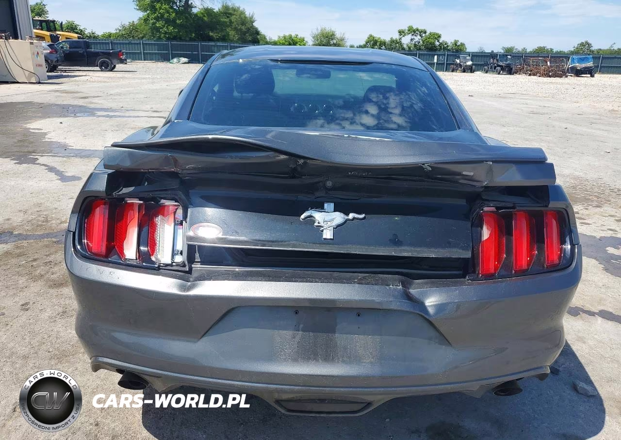 2016 Ford Mustang VIN:1FA6P8AM8G5251034 - 6