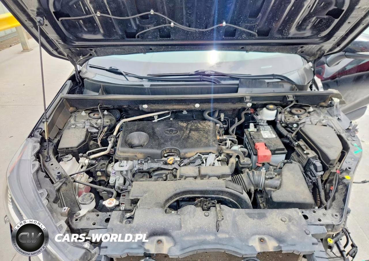 2019 Toyota Rav4 Xle VIN:2T3P1RFV7KC043785 - 12