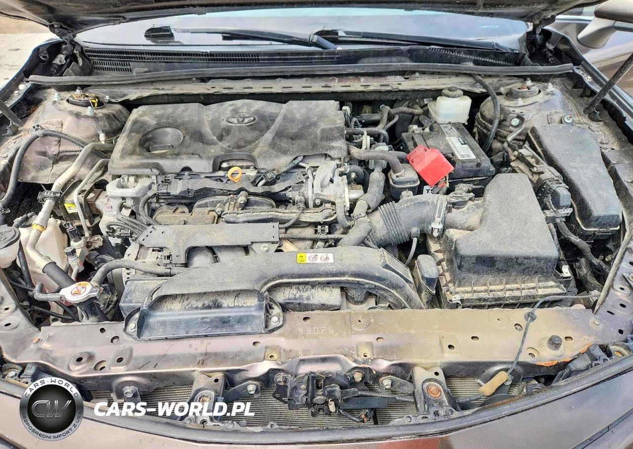 2019 Toyota Camry Le VIN:4T1B11HK7KU248920 - 11