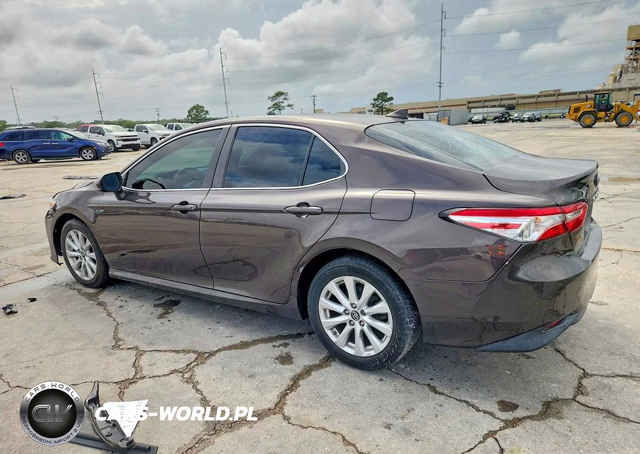 2019 Toyota Camry Le VIN:4T1B11HK7KU248920 - 2