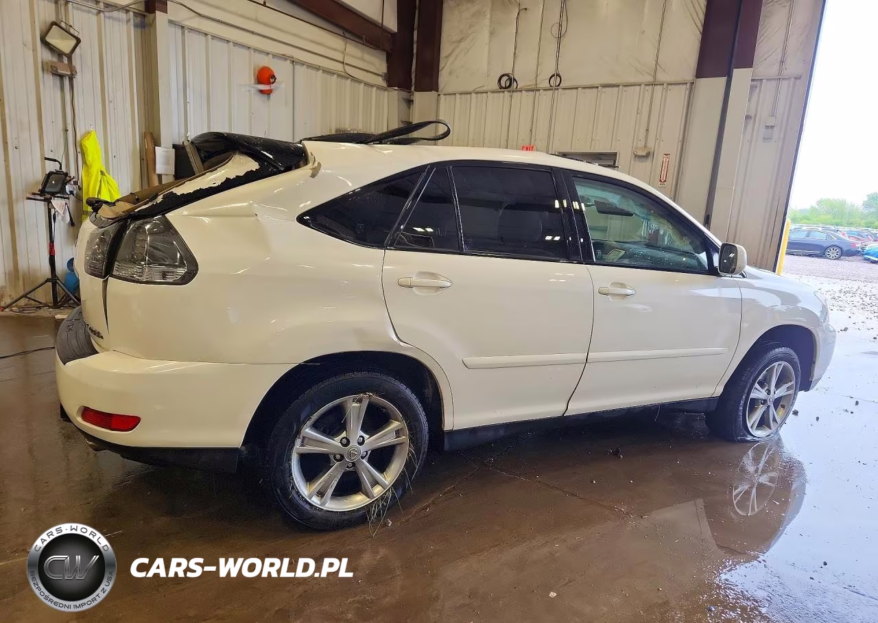 2006 Lexus Rx 400 VIN:JTJHW31U060030819 - 3