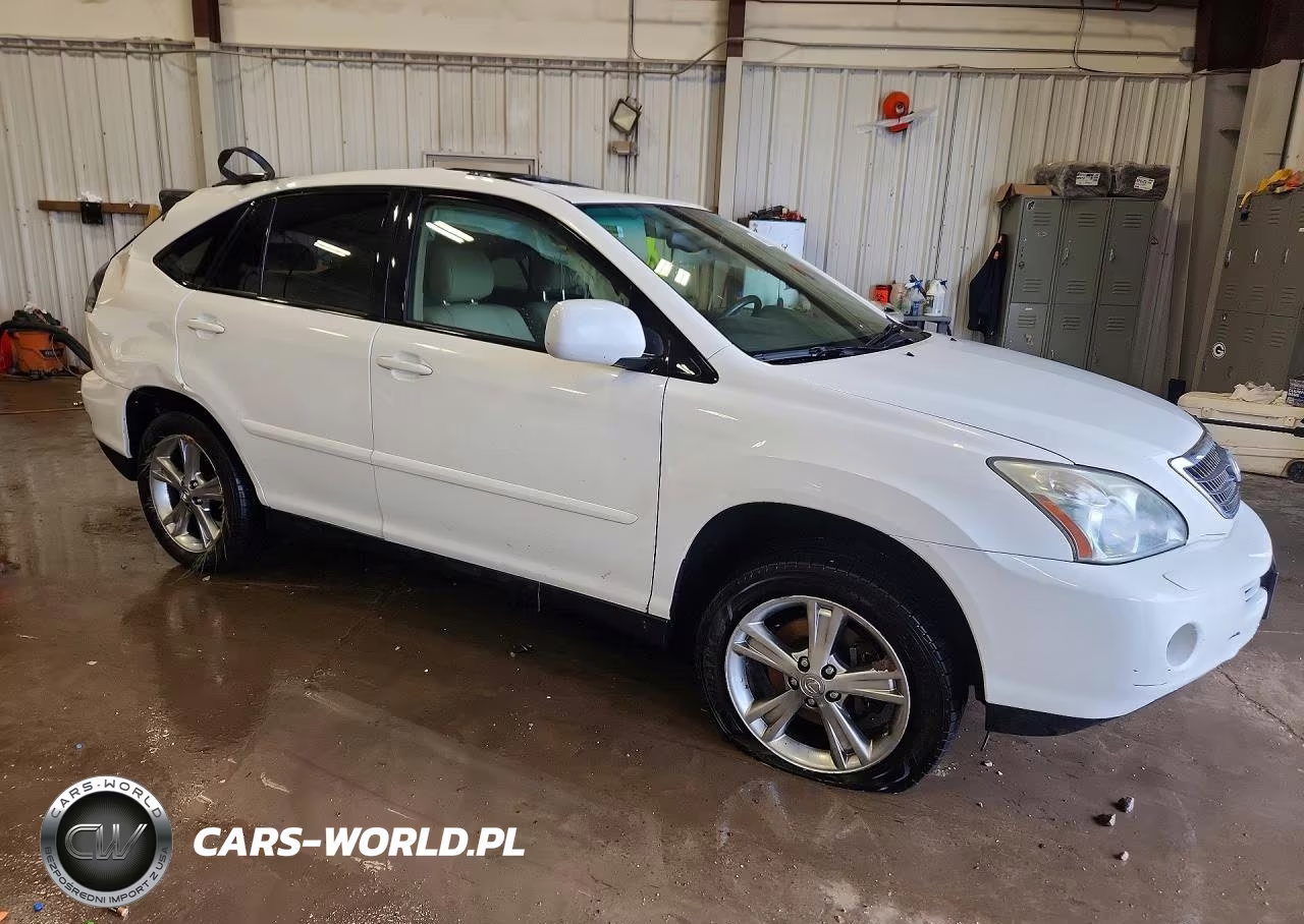2006 Lexus Rx 400 VIN:JTJHW31U060030819 - 4