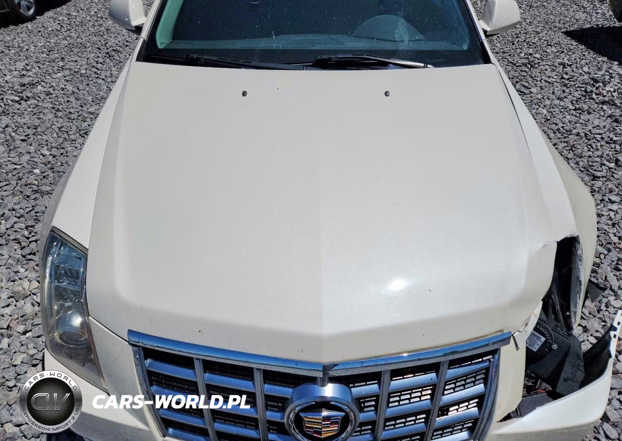 2013 Cadillac Cts Performance Collection VIN:1G6DL5E35D0113606 - 11