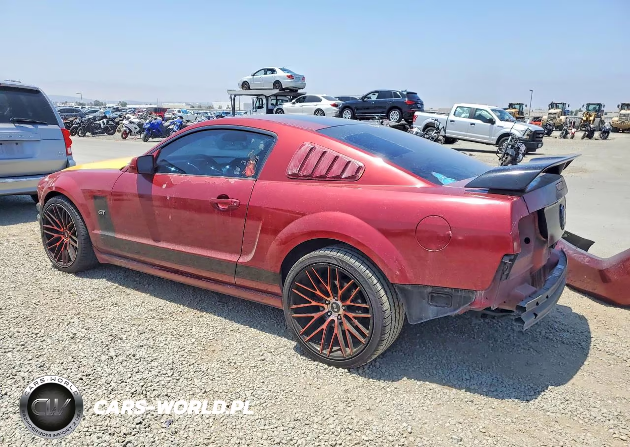 2006 Ford Mustang VIN:1ZVFT80N065259639 - 2