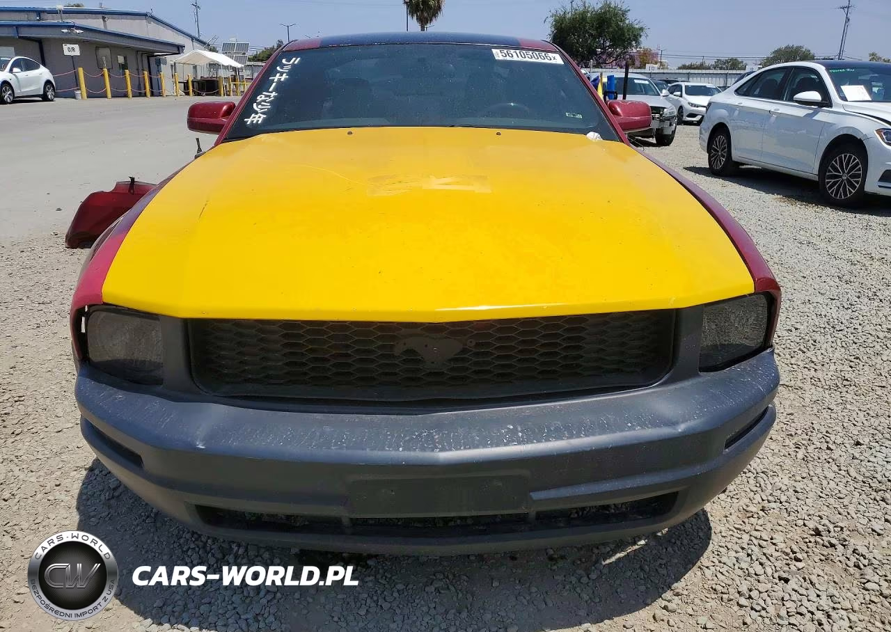2006 Ford Mustang VIN:1ZVFT80N065259639 - 5