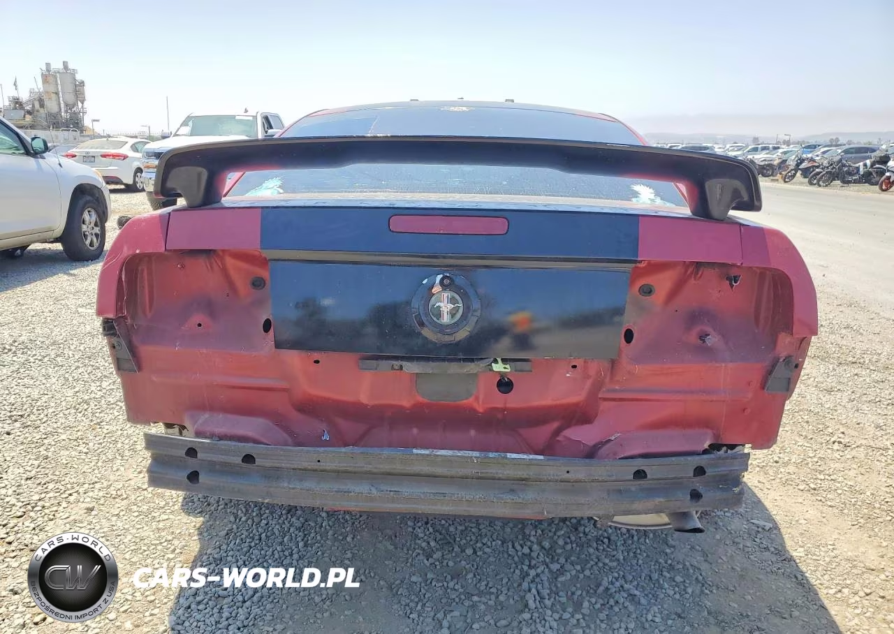 2006 Ford Mustang VIN:1ZVFT80N065259639 - 6