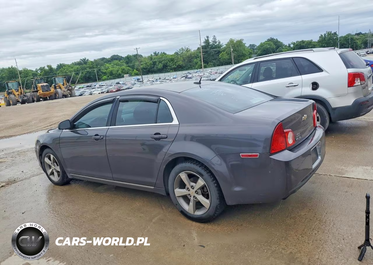2011 Chevrolet Malibu 1Lt VIN:1G1ZC5E13BF113575 - 2
