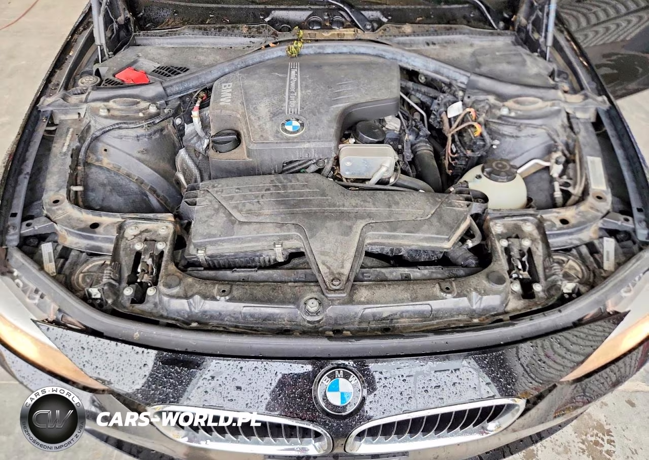2014 BMW 320 I xDrive VIN:WBA3C3C54EF984008 - 11