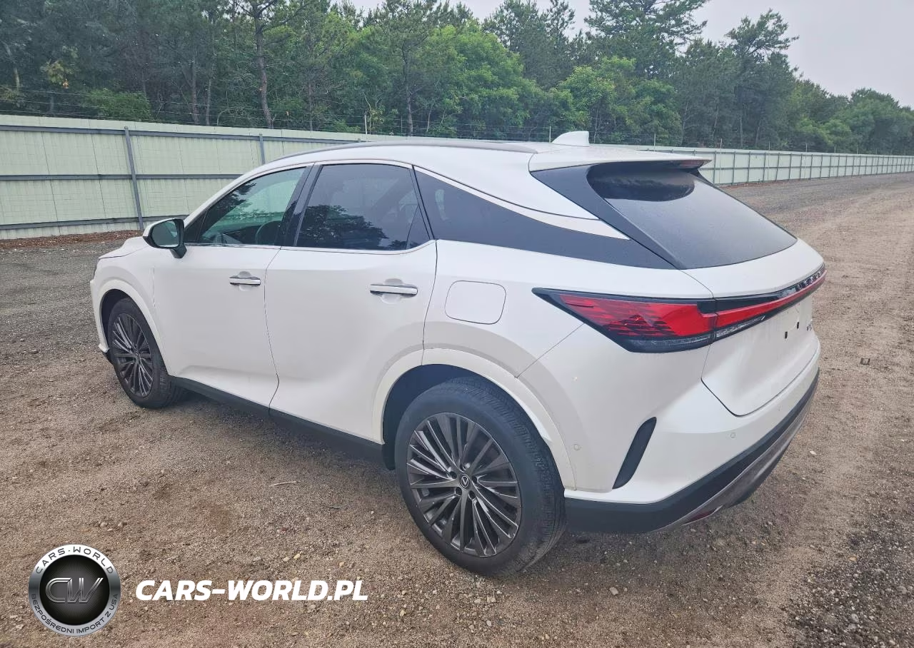 2023 Lexus Rx 350 Luxury VIN:2T2BAMCA4PC014951 - 2