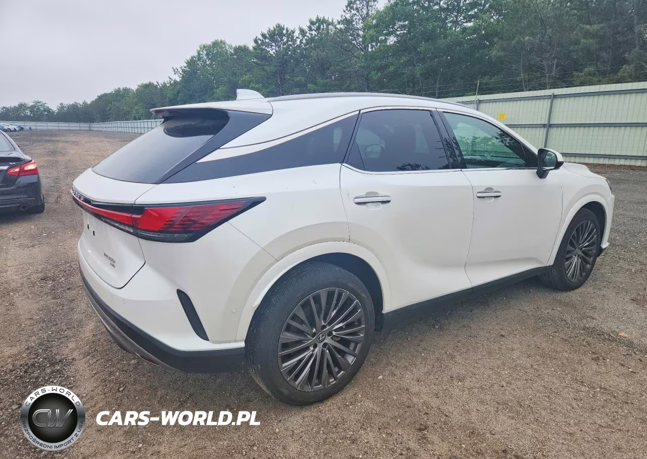 2023 Lexus Rx 350 Luxury VIN:2T2BAMCA4PC014951 - 3