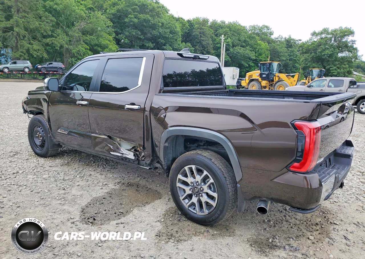 2025 Toyota Tundra Crewmax Platinum VIN:5TFMA5DB7SX305948 - 2