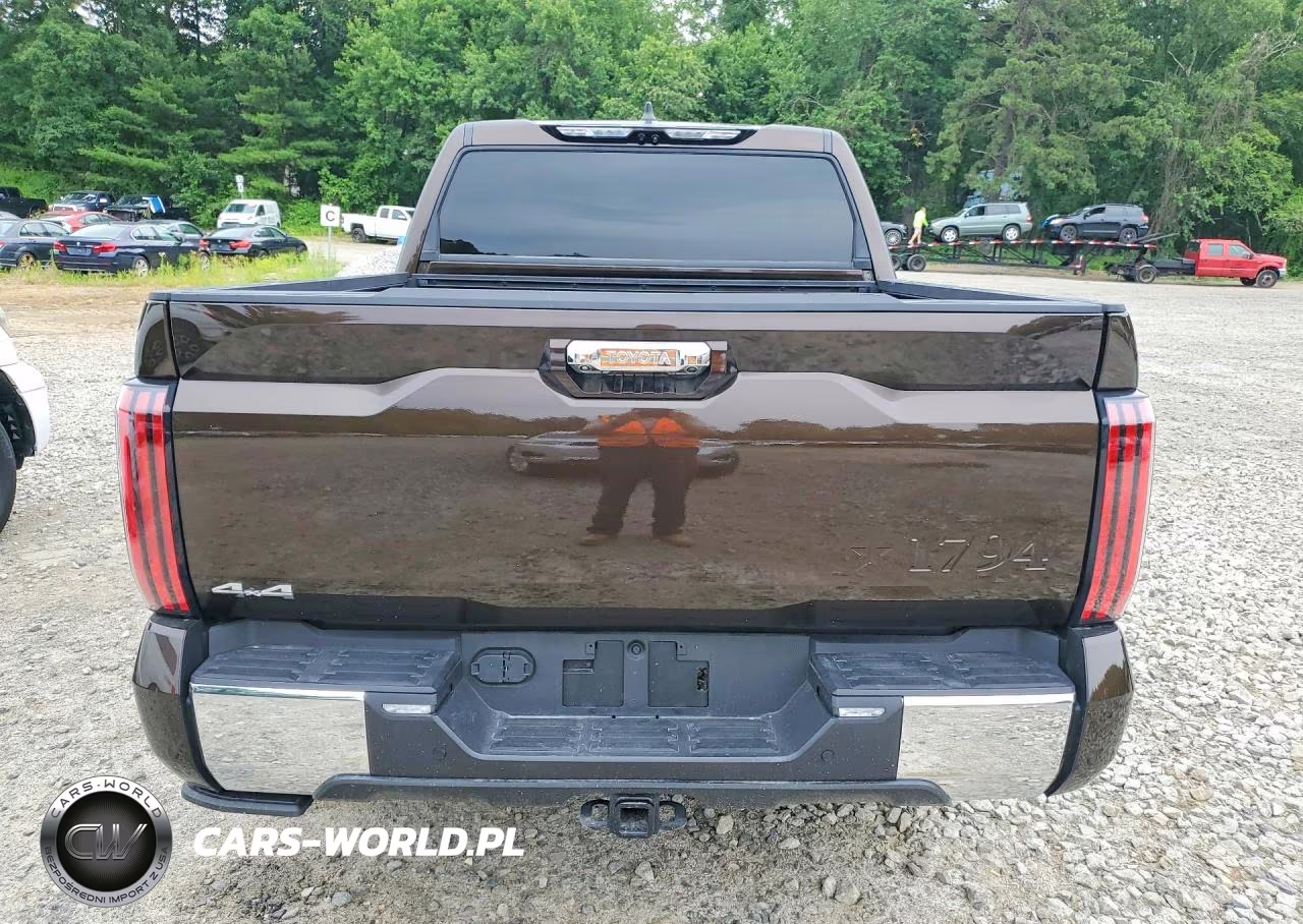 2025 Toyota Tundra Crewmax Platinum VIN:5TFMA5DB7SX305948 - 6