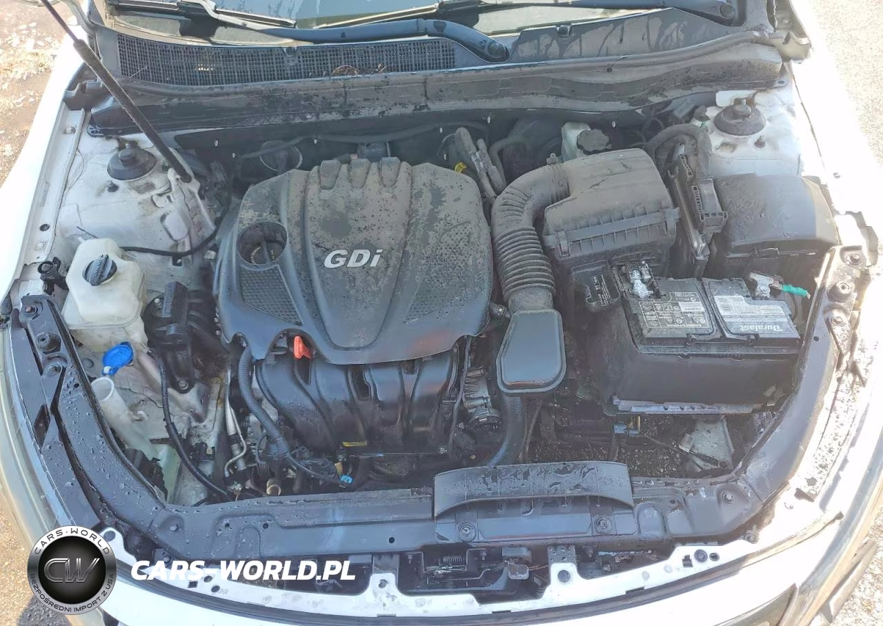 2014 Kia Optima Lx VIN:5XXGM4A7XEG262233 - 11