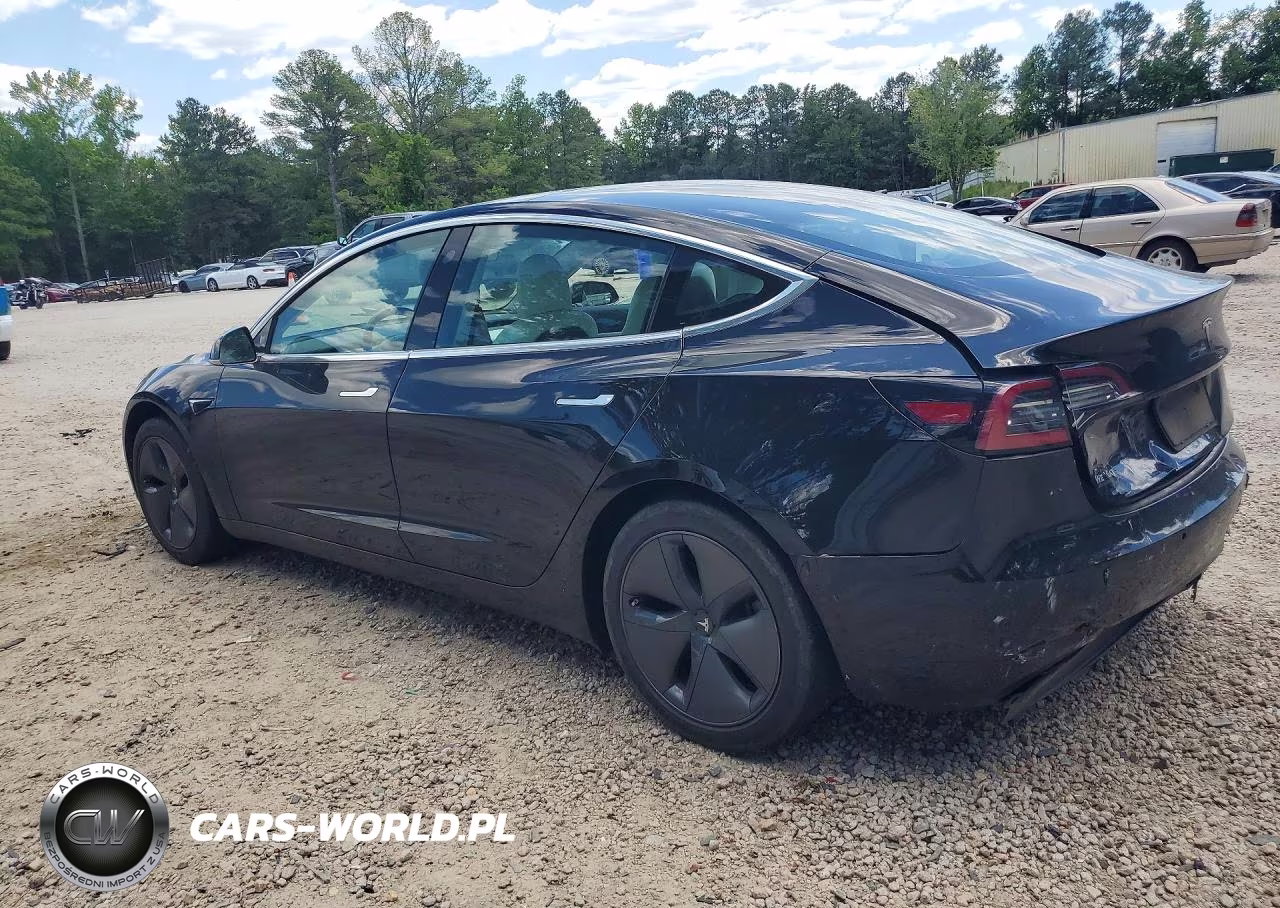 2019 Tesla Model 3 VIN:5YJ3E1EA3KF413007 - 2