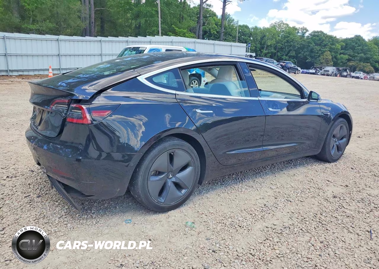 2019 Tesla Model 3 VIN:5YJ3E1EA3KF413007 - 3