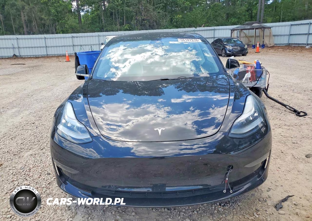 2019 Tesla Model 3 VIN:5YJ3E1EA3KF413007 - 5