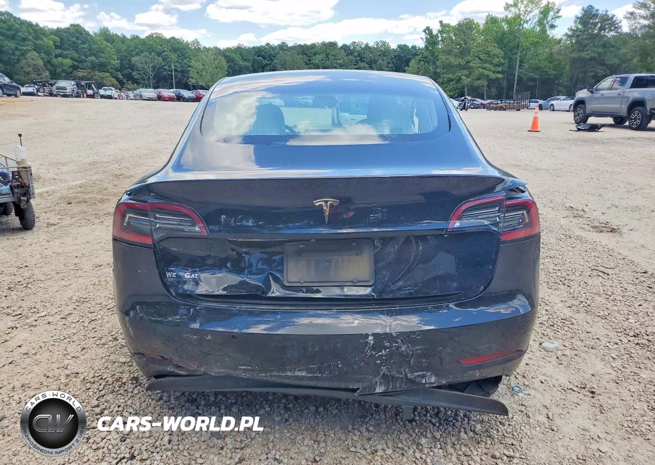 2019 Tesla Model 3 VIN:5YJ3E1EA3KF413007 - 6