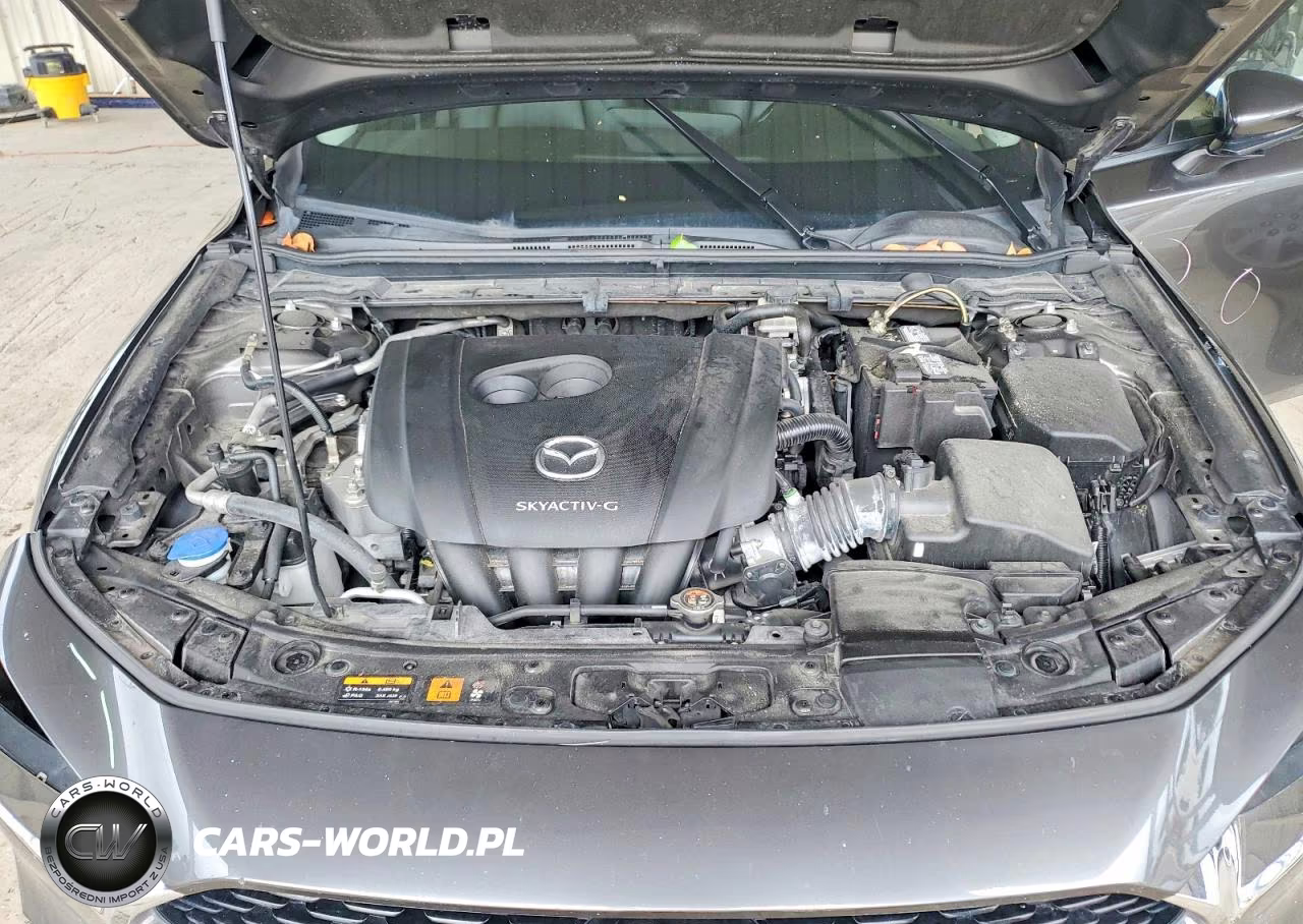 2019 Mazda 3 Preferred Plus VIN:JM1BPACL7K1108242 - 11