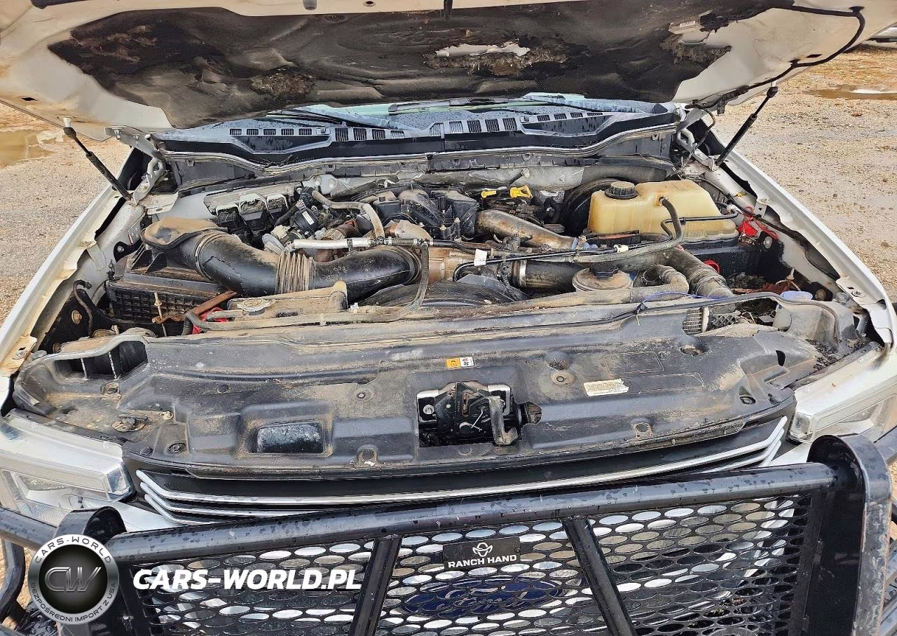 2019 Ford F250 Super Duty VIN:1FT7W2BT5KEE11612 - 11