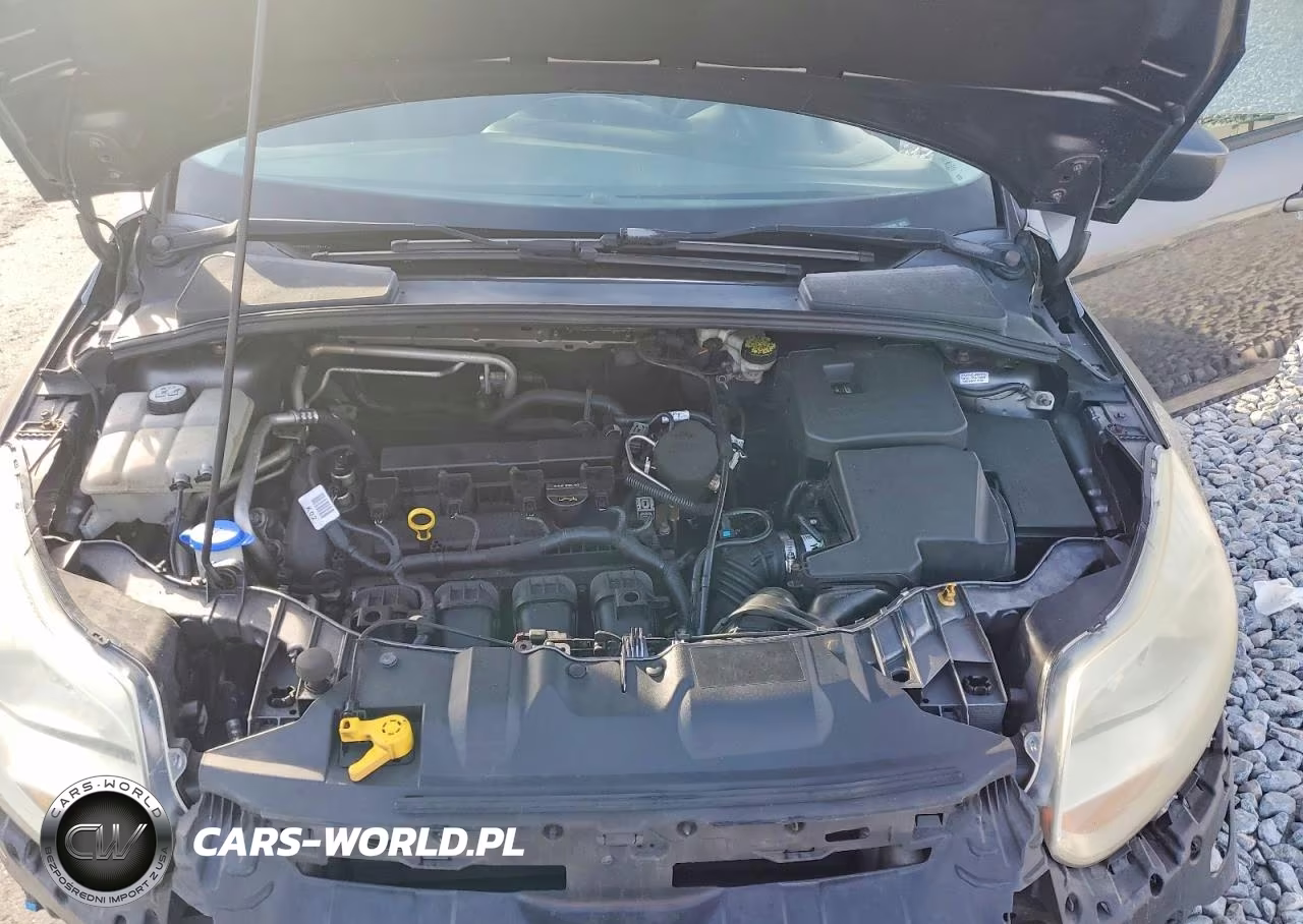2012 Ford Focus Se VIN:1FAHP3F23CL204924 - 11