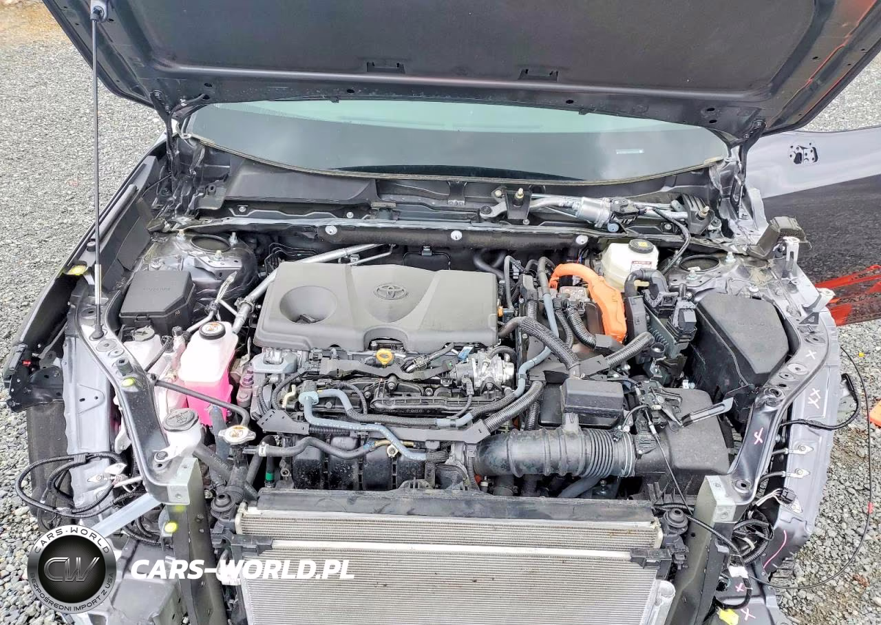 2025 Toyota Rav4 Hybrid Xle VIN:4T3RWRFV6SU190804 - 12