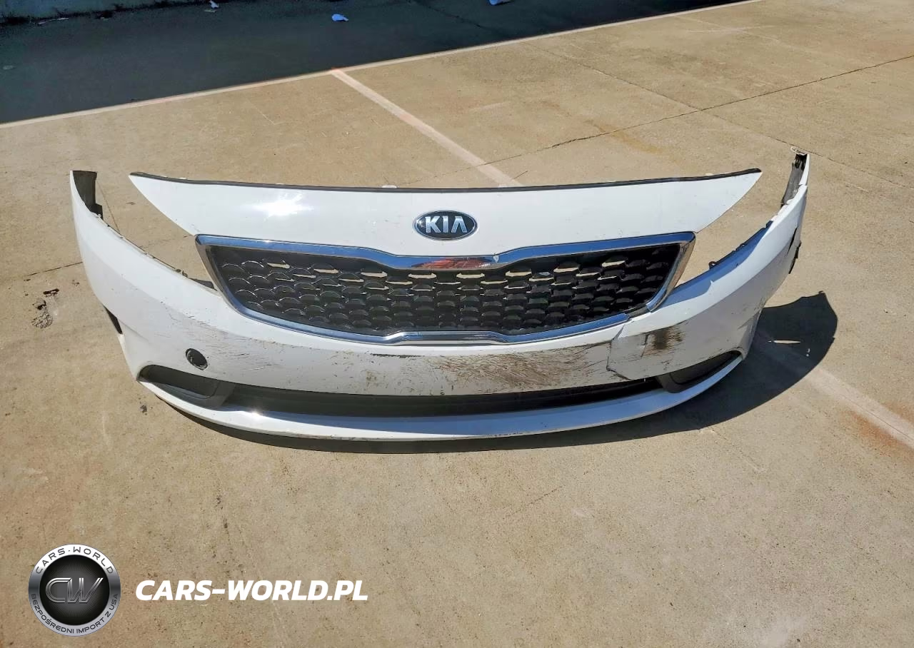 2018 Kia Forte Lx VIN:3KPFK4A74JE175545 - 12