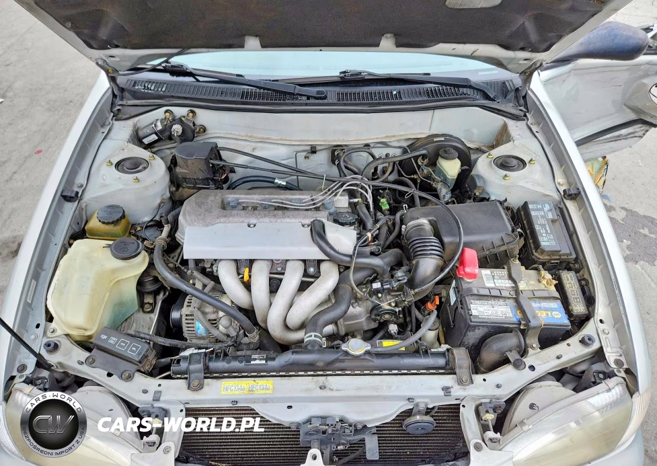 1999 Toyota Corolla Ve VIN:1NXBR12E7XZ258270 - 11