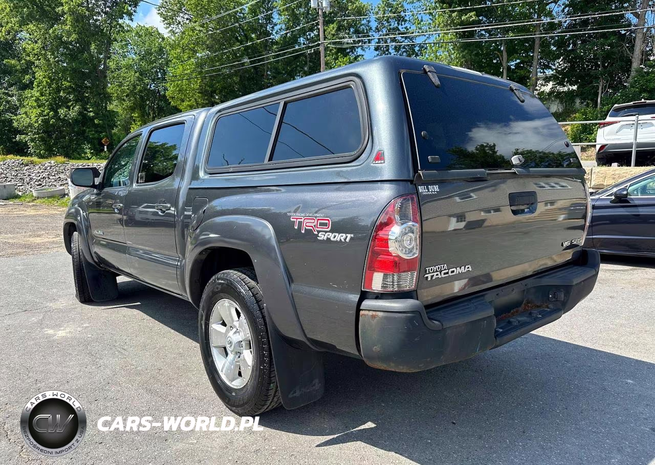 2010 Toyota Tacoma Double Cab VIN:5TELU4EN4AZ695193 - 2