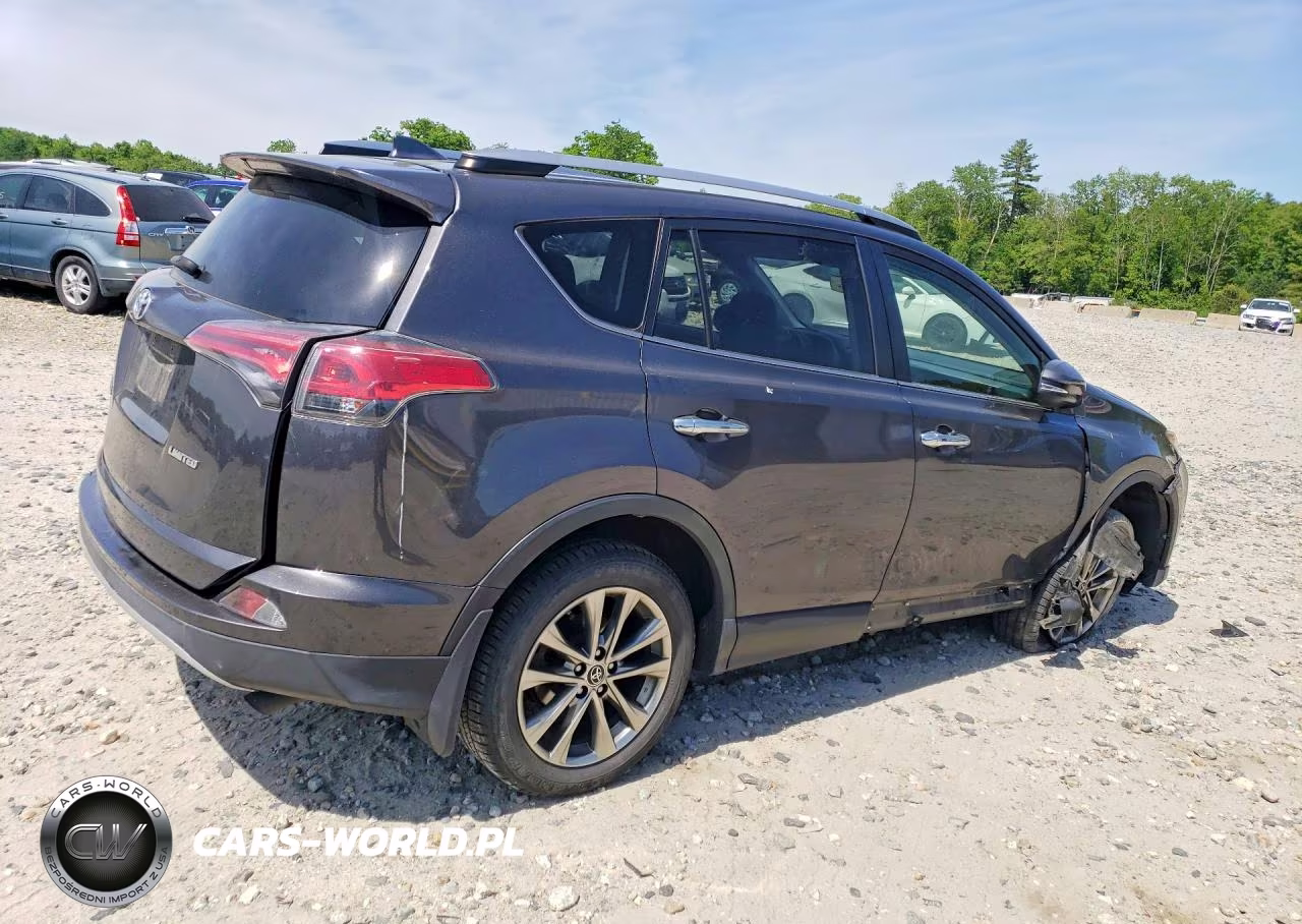 2018 Toyota Rav4 Limited VIN:JTMDFREV6JJ182050 - 3