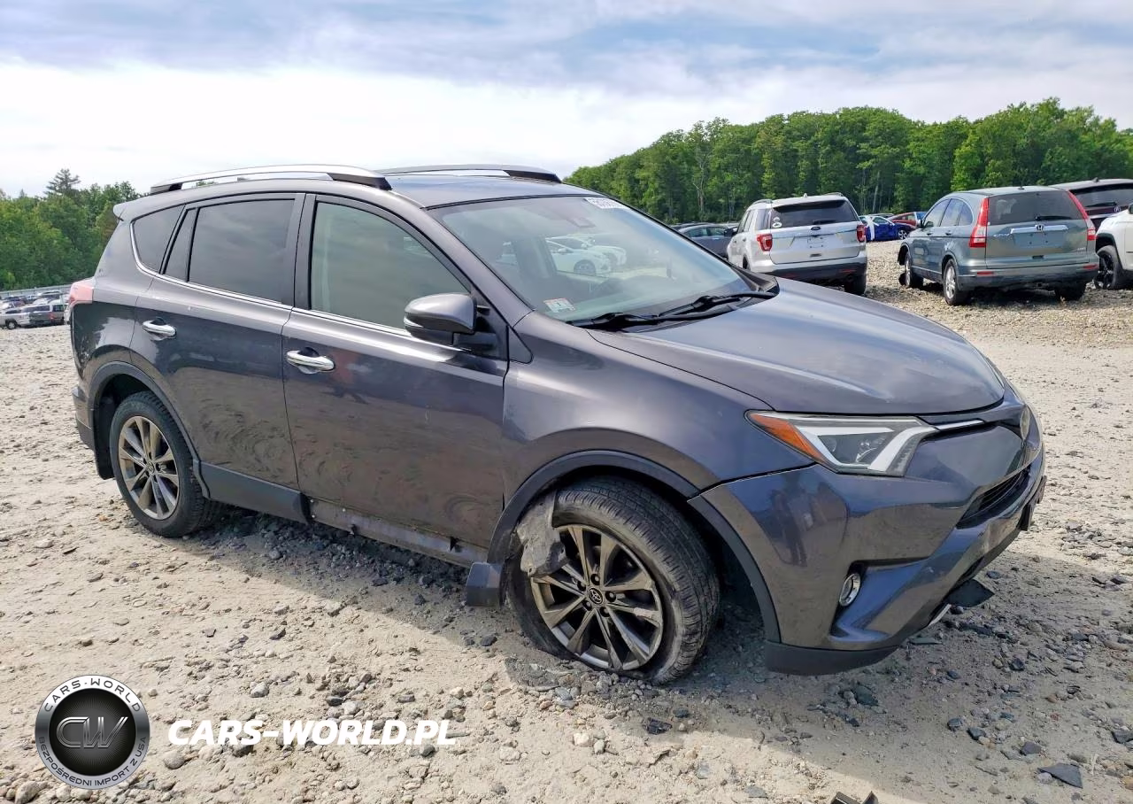 2018 Toyota Rav4 Limited VIN:JTMDFREV6JJ182050 - 4
