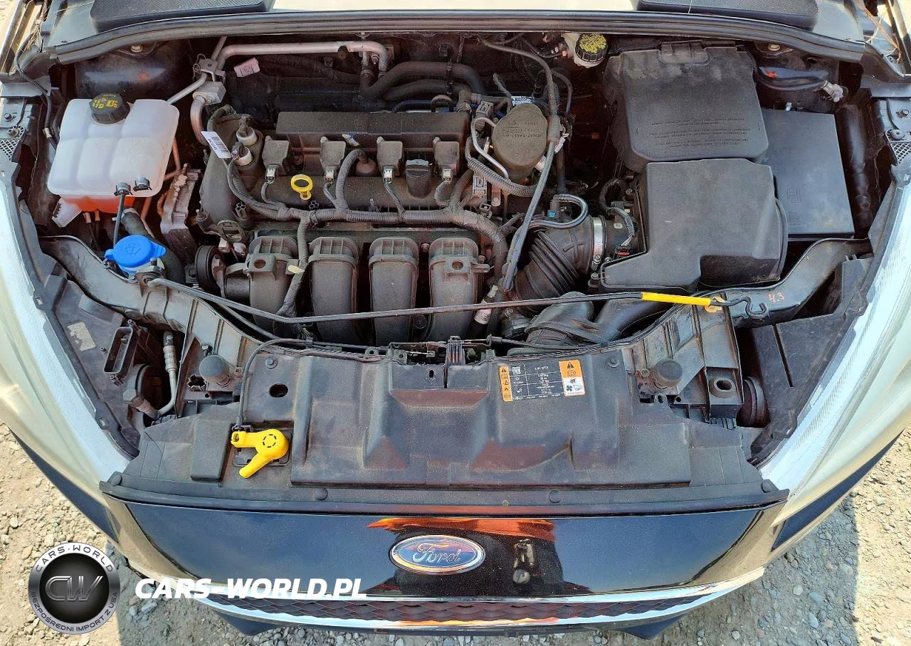 2015 Ford Focus Se VIN:1FADP3K25FL355658 - 12