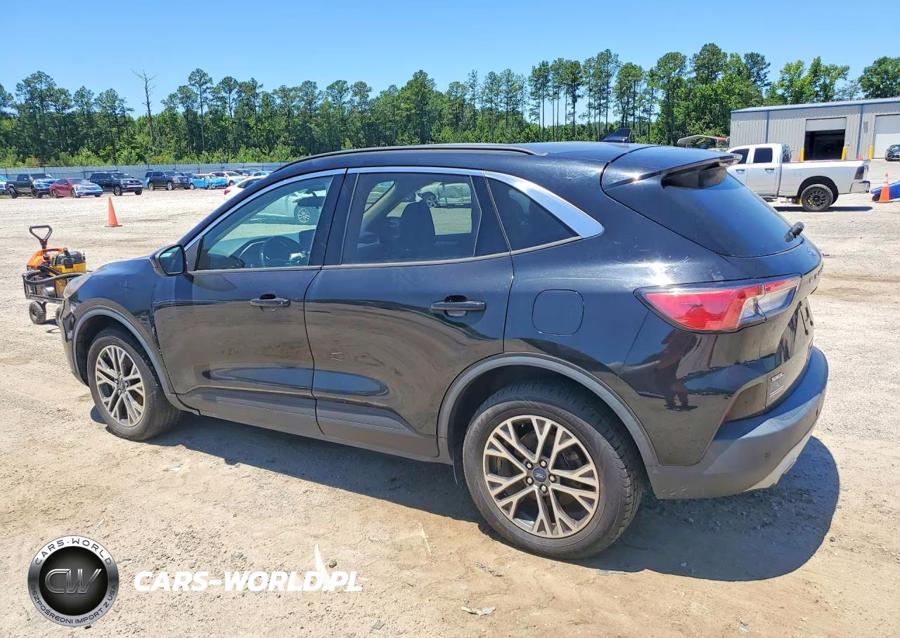 2020 Ford Escape Sel VIN:1FMCU9H65LUA59259 - 2
