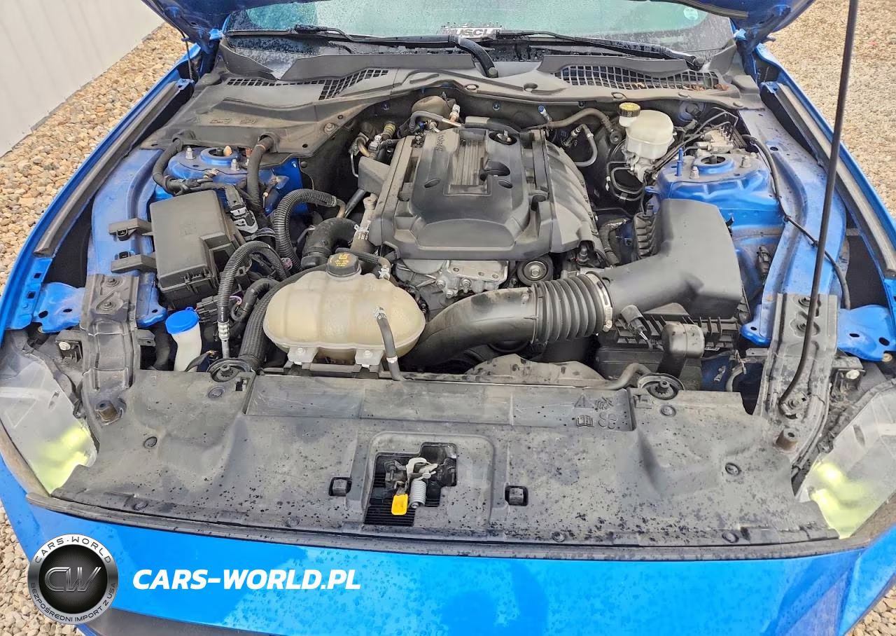 2020 Ford Mustang VIN:1FA6P8TH1L5155031 - 11