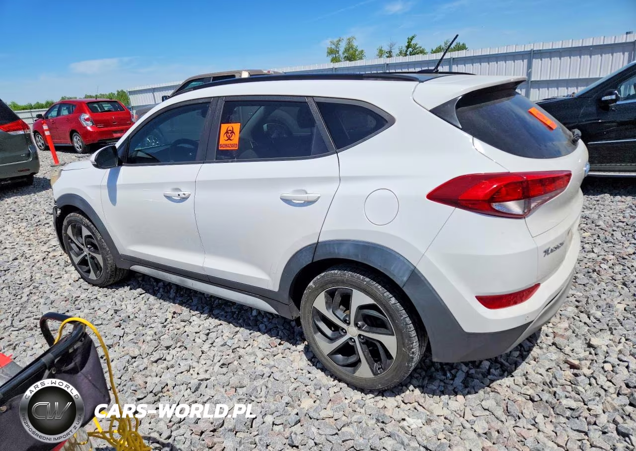 2017 Hyundai Tucson Value VIN:KM8J33A22HU567436 - 2