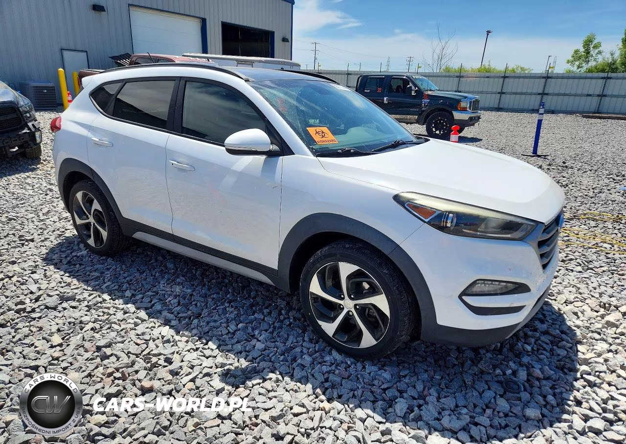 2017 Hyundai Tucson Value VIN:KM8J33A22HU567436 - 4