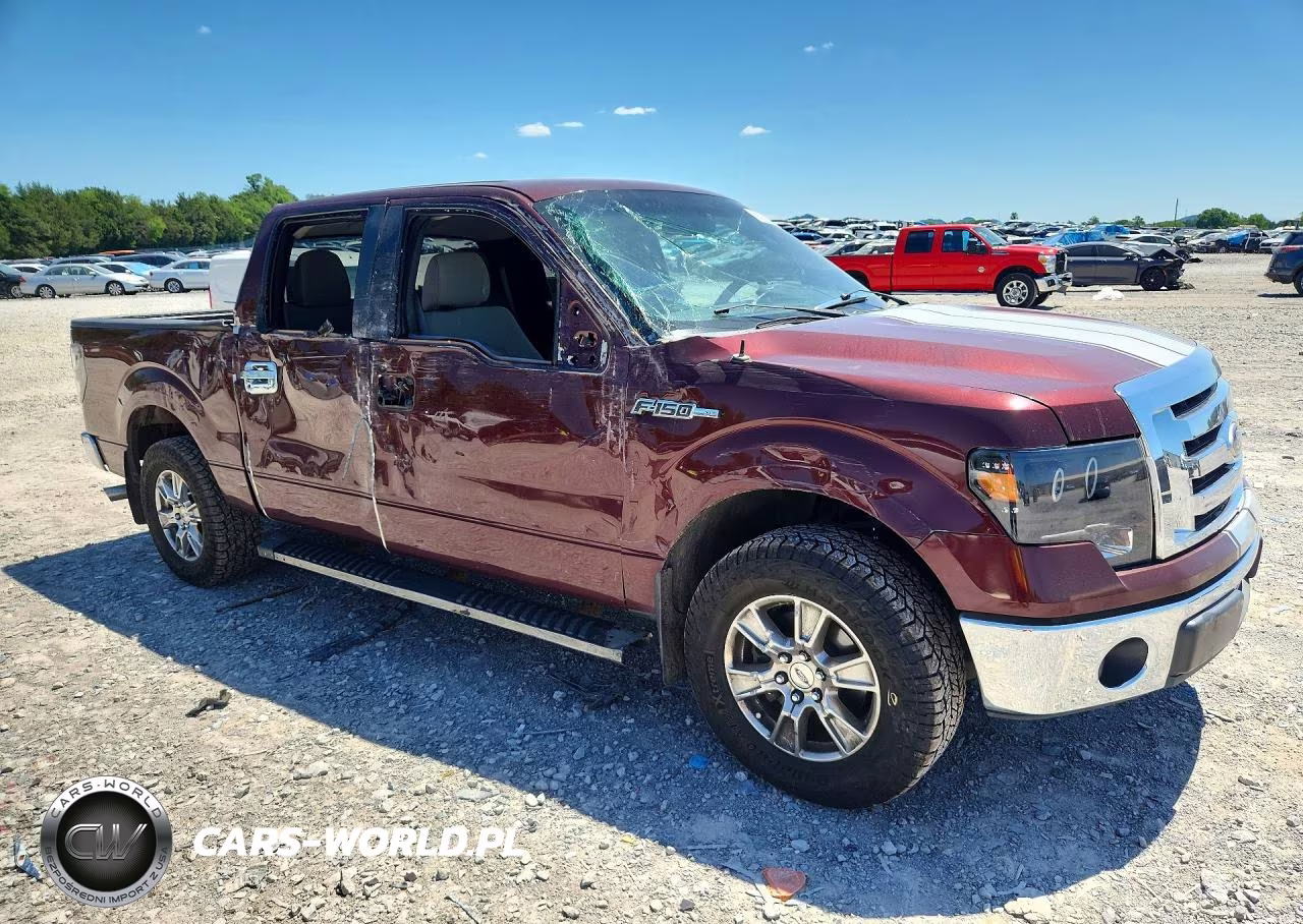 2010 Ford F150 Supercrew VIN:1FTFW1CV6AKE72778 - 4