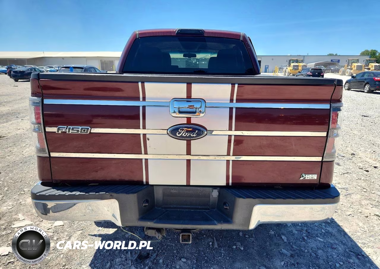 2010 Ford F150 Supercrew VIN:1FTFW1CV6AKE72778 - 6