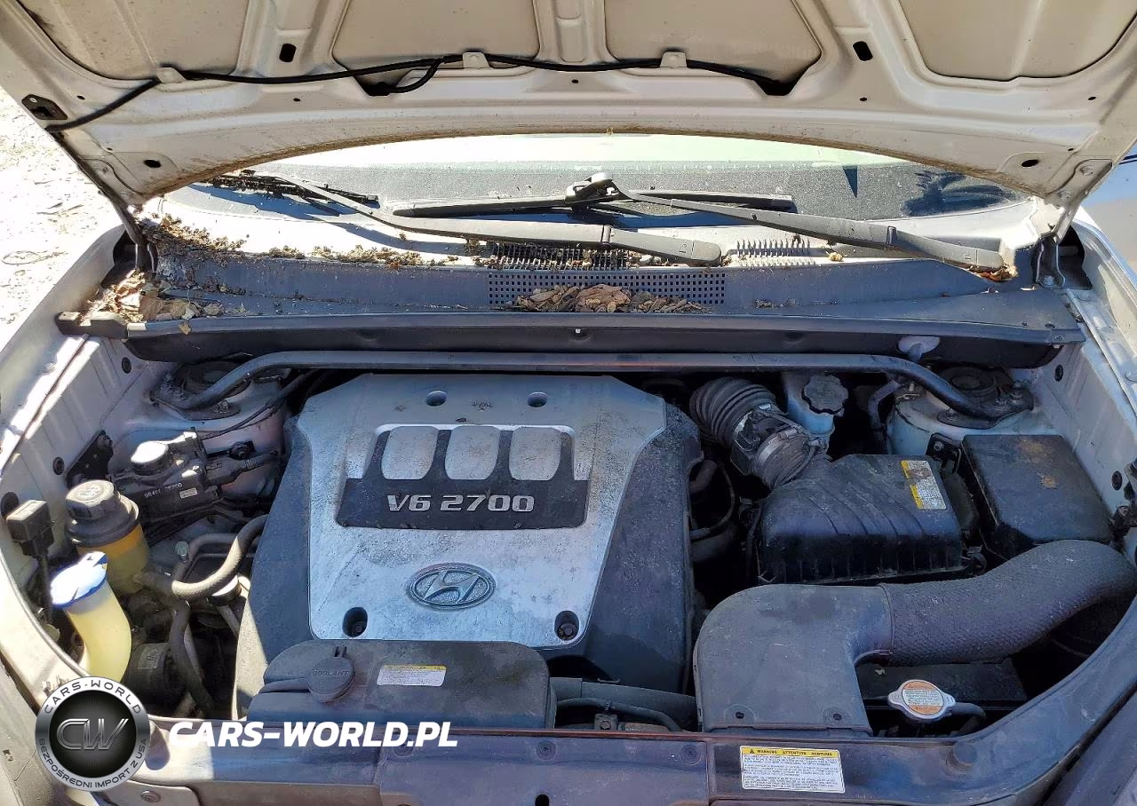 2005 Hyundai Tucson Gls VIN:KM8JN72D45U227542 - 12