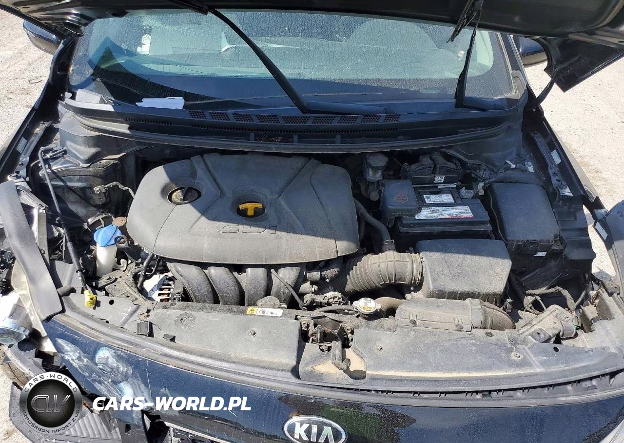 2017 Kia Forte Lx VIN:KNAFK5A83H5696855 - 11