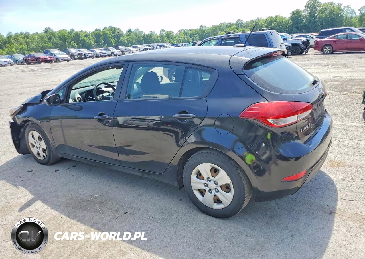 2017 Kia Forte Lx VIN:KNAFK5A83H5696855 - 2