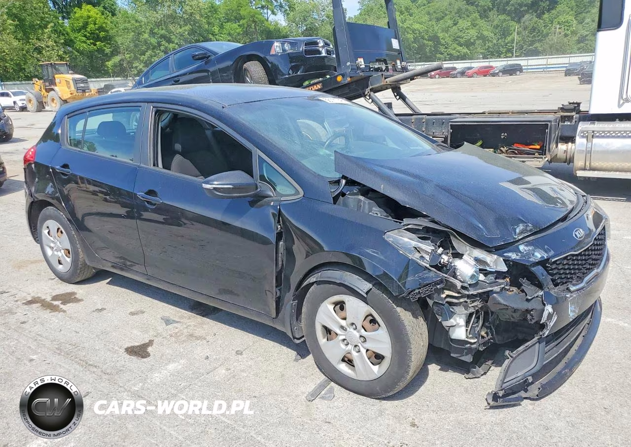 2017 Kia Forte Lx VIN:KNAFK5A83H5696855 - 4