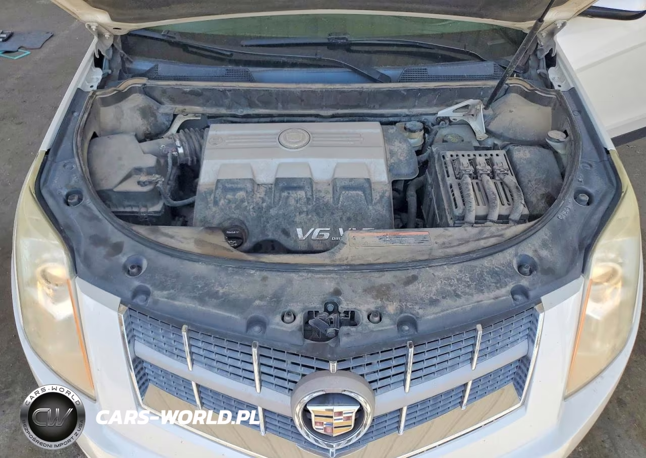 2010 Cadillac Srx Luxury Collection VIN:3GYFNAEYXAS561651 - 12