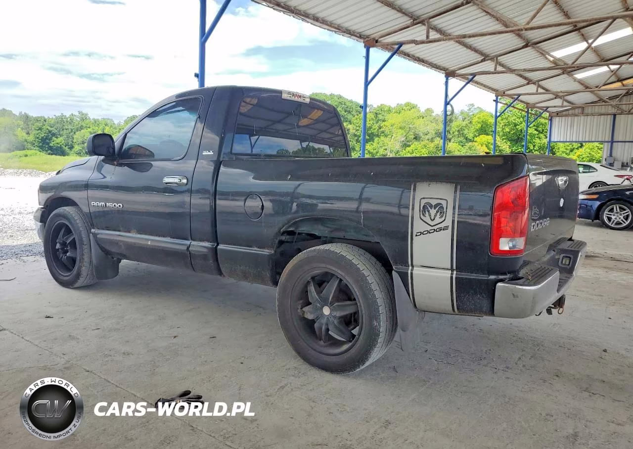 2002 Dodge Ram 1500 VIN:1D7HA16N12J205922 - 2