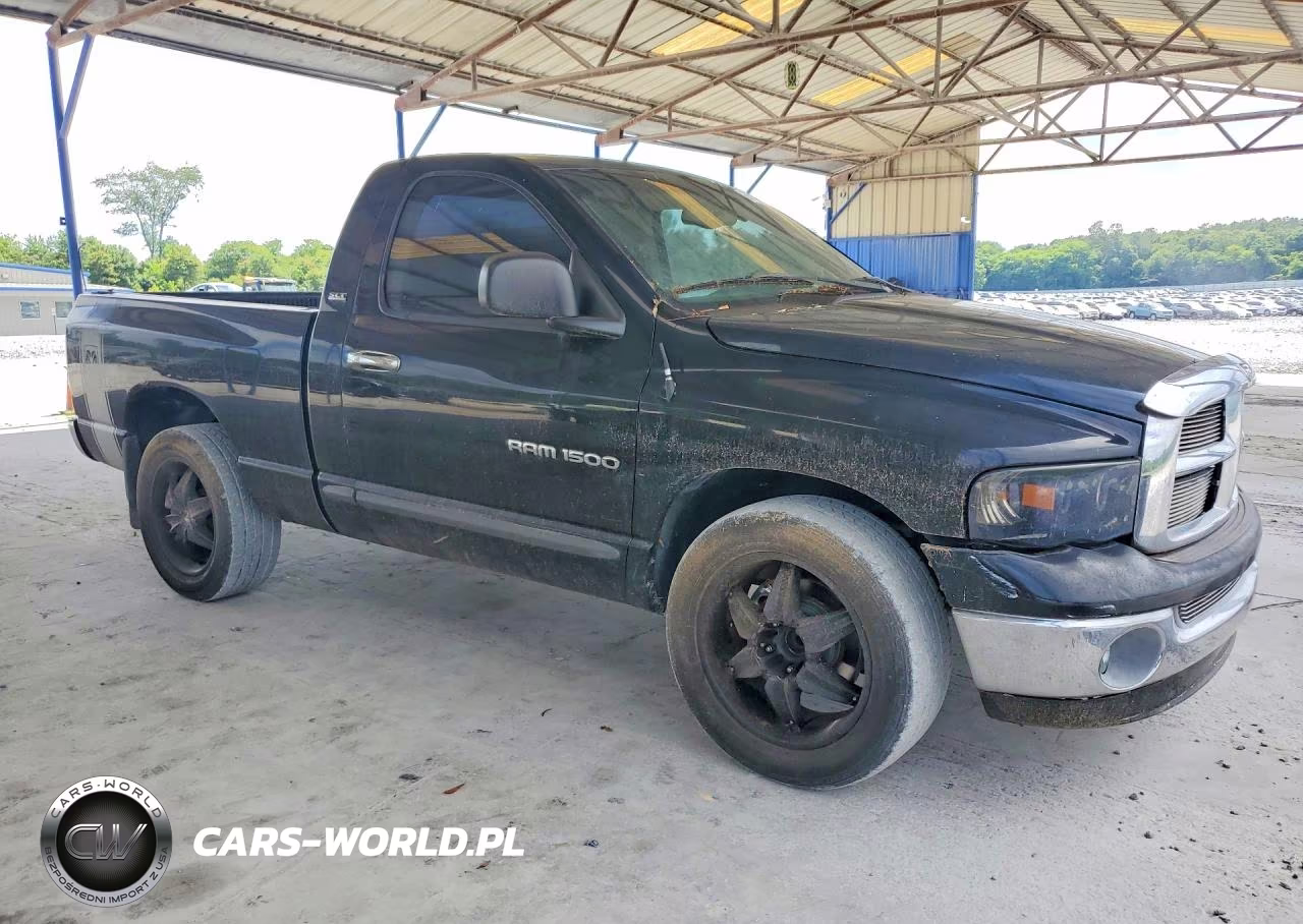 2002 Dodge Ram 1500 VIN:1D7HA16N12J205922 - 4