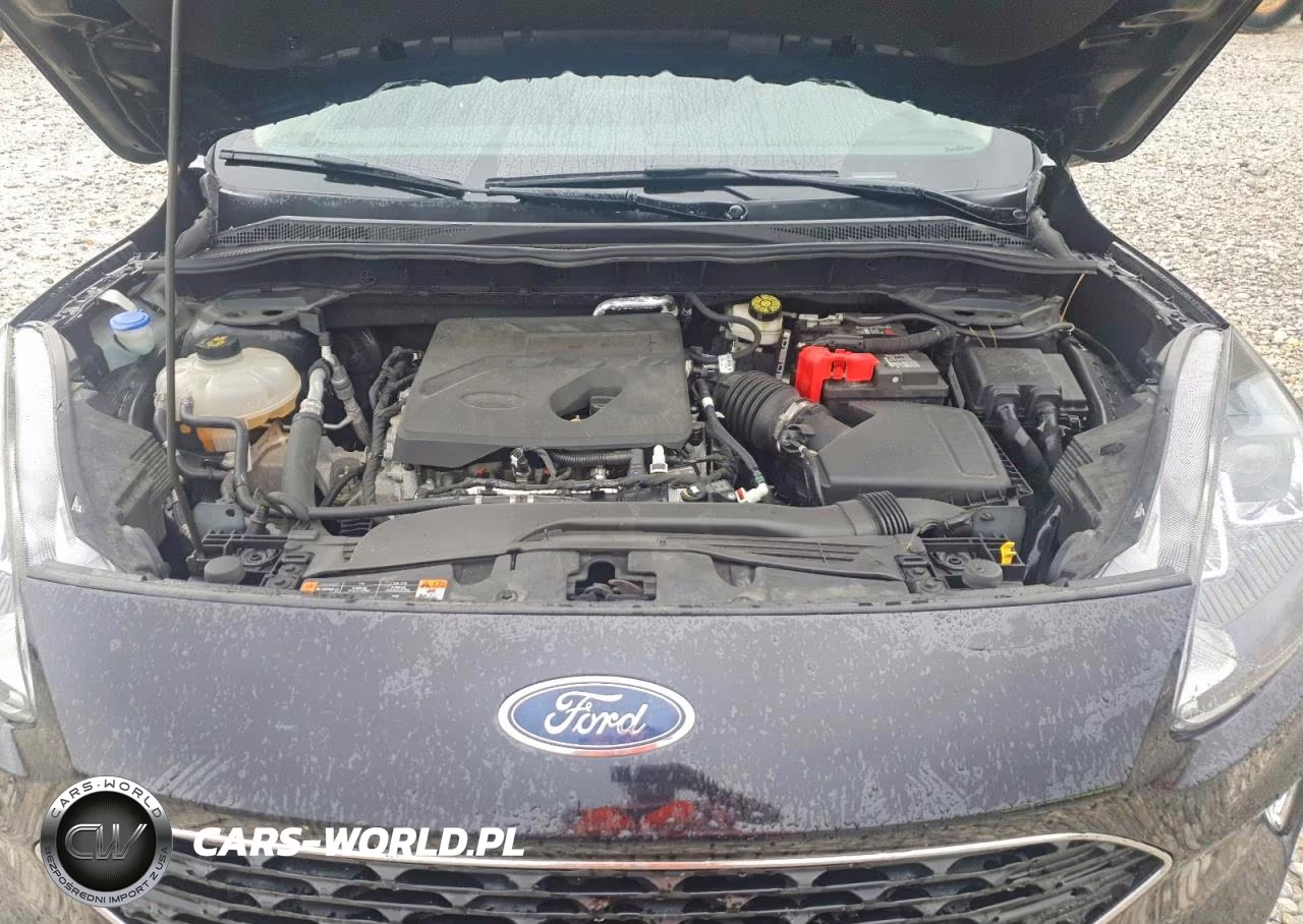 2020 Ford Escape Sel VIN:1FMCU9H67LUB26427 - 12