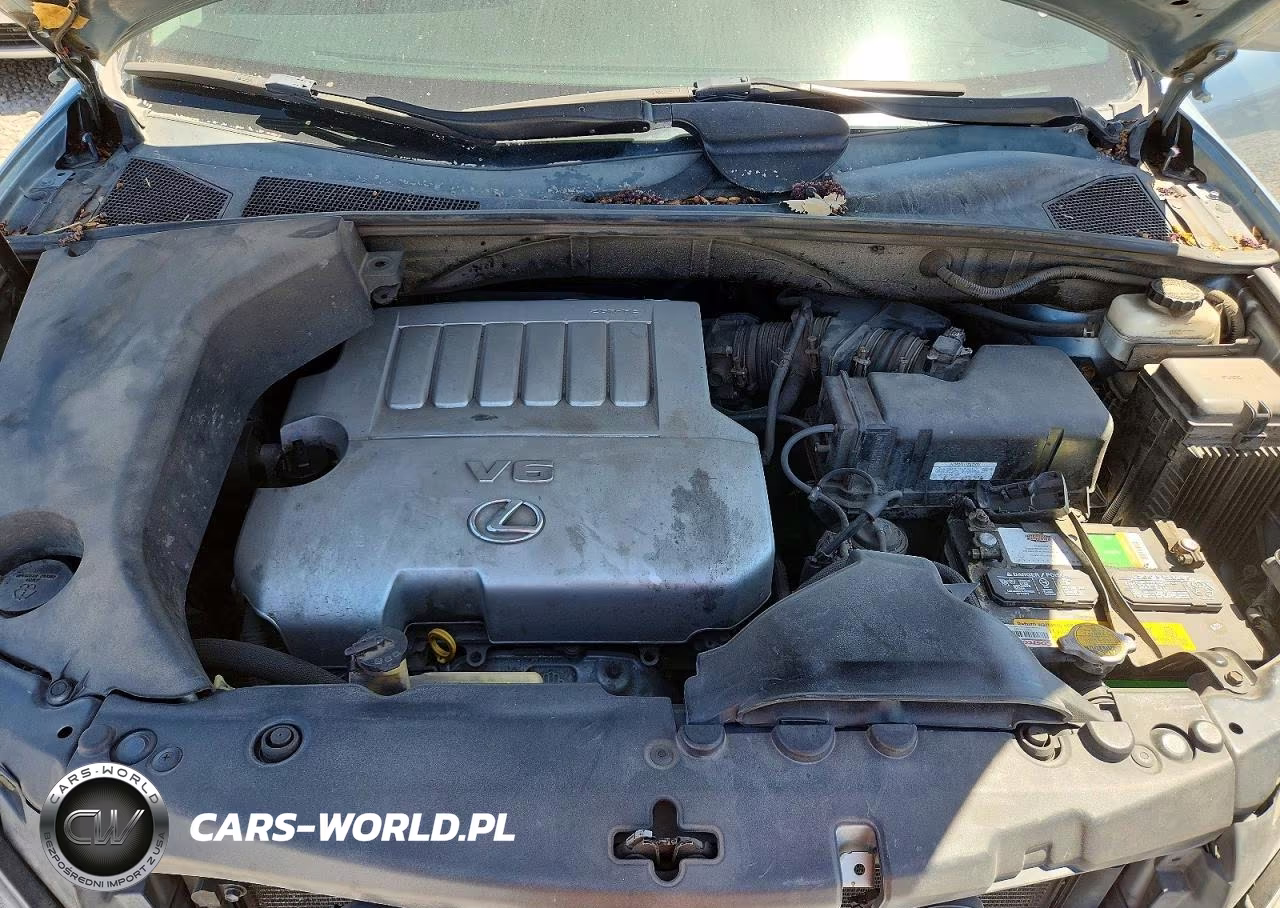 2009 Lexus Rx 350 VIN:2T2HK31U79C116858 - 11