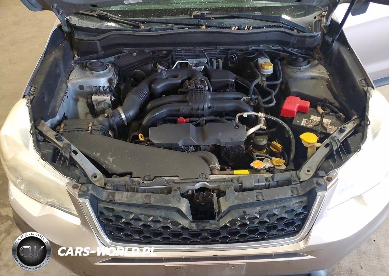 2014 Subaru Forester 2.5I Premium VIN:JF2SJAEC3EH413765 - 12