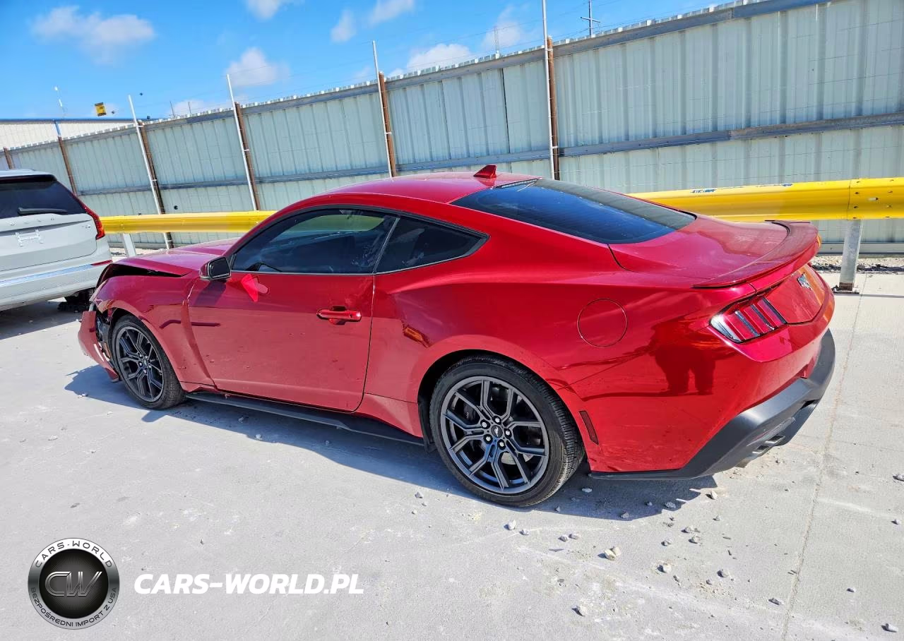 2024 Ford Mustang VIN:1FA6P8TH2R5117199 - 2